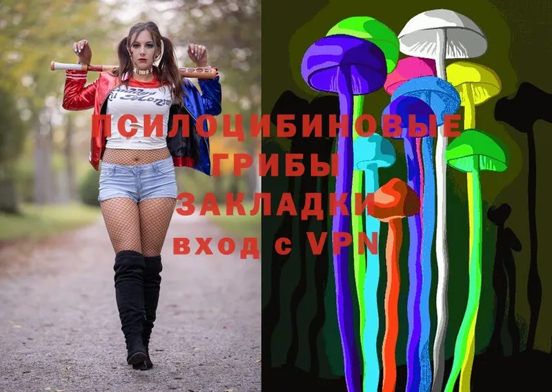 Псилоцибиновые грибы Cubensis  что такое   Покачи 